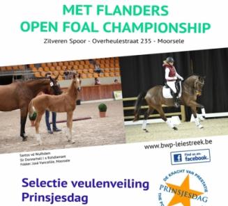 EINDUITSLAG Flanders Open Foal Championship