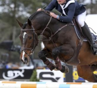 Darmani van ?t Heike wint GP Sancourt Darmani van ?t Heike wint GP Sancourt
