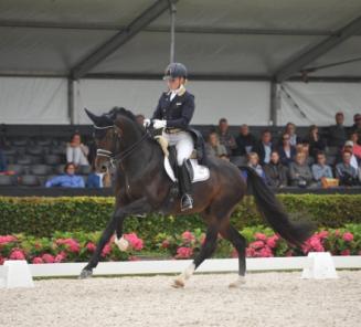 WK Dressuur Ermelo: Bailamos Biolley 2de bij Stallions of the Year WK Dressuur Ermelo: Bailamos Biolley 2de bij Stallions of the Year