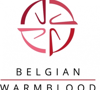 Rio: Duimen voor onze BWP?ers! Rio: Duimen voor onze BWP?ers!