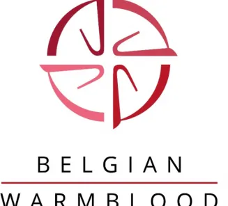 Belgian Warmbloods at World Championships for Young Horses