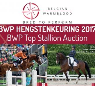 Website BWP Stallion Selection 2017 online