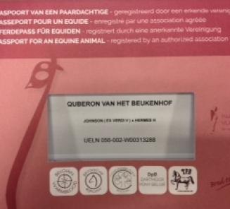 Stijging aantal ingeschreven veulens bij BWP! Stijging aantal ingeschreven veulens bij BWP!