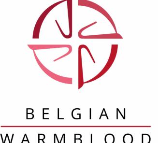 BWP derde in definitieve rankings springen