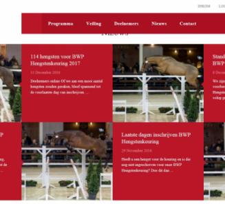 BWP Top Stallion Auction presenteert: 44 veilinghengsten! BWP Top Stallion Auction presenteert: 44 veilinghengsten!