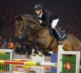 BWP Top Stallion Auction: 2de lot BWP Top Stallion Auction: 2de lot