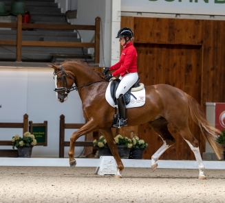 Sunnyboy van de Kempenhoeve