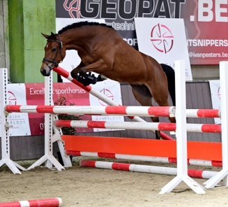 Aleoppe van ’t Oud Molenhuis