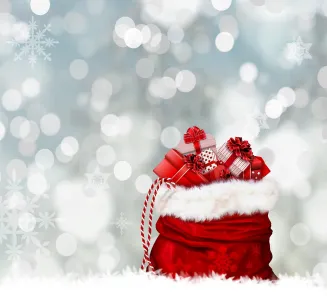Christmas Kerstmis Jumping Mechelen acties