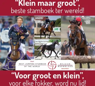 lid worden BWP lidmaatschap