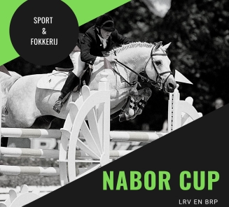 NaborCup