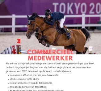 vacature commercieel medewerker BWP