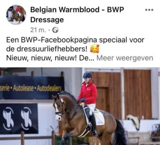 facebook insta dressuur