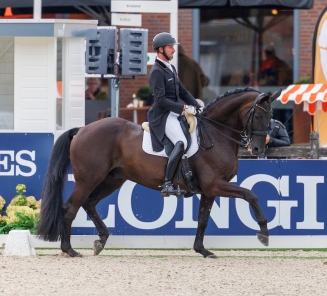 Domien Michiels en Intermezzo van het Meerdaalhof