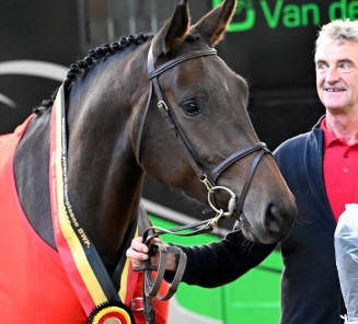 Une Amie vd Babbelkroon