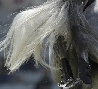 detail jumping