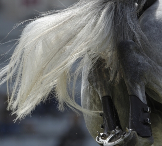 detail jumping