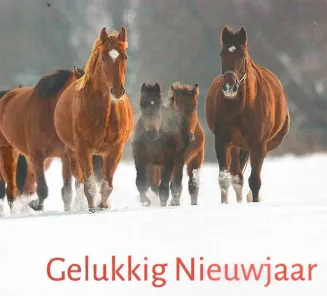 kaartje 2024