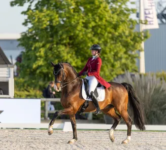 fil rouge Roos Laurence