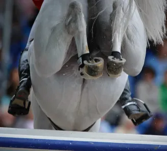 detail jumping