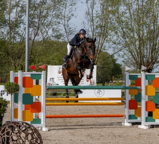 elitemerrie Ramilla van het Bloemenhof