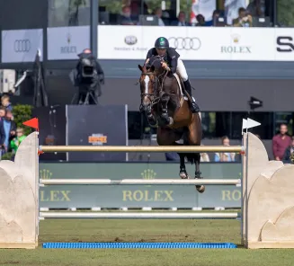 Grand Slam VDL