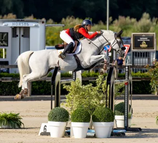 Impressario vd Heffinck & Nikita Van Der Meerschen