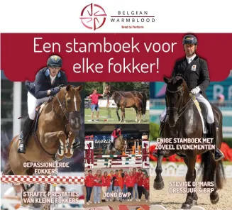 lidmaatschap