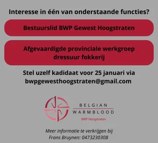 Hoogstraten Verkiezingen