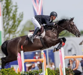 Maxim Godecharle en Oreo