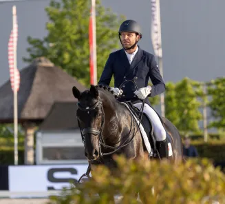 Kryptonite vd performing stables Verheyden