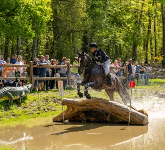 saffier vd heikenshoeve Bosch 