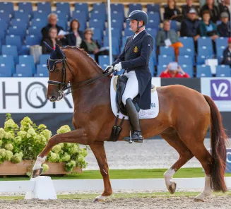 Tom Heylen & Quberon Van Het Beukenhof