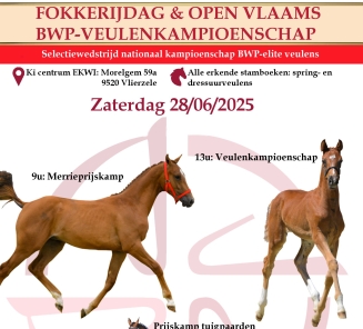 Fokkerijdag en veulenkampioenschap Vlierzele