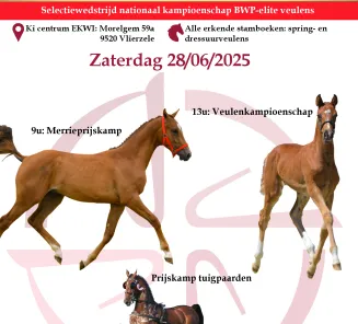 flyer fokkerijdag 2025