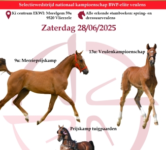 flyer fokkerijdag 2025