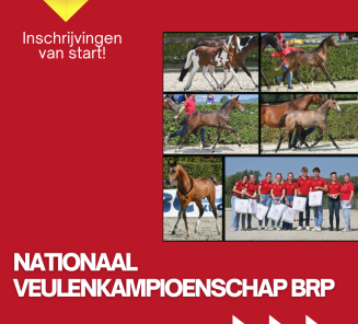 INSCHRIJVEN VEULENKAMPIOENSCHAP BRP