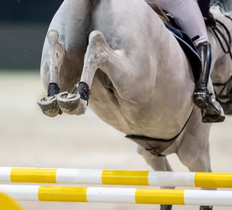detail jumping
