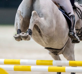 detail jumping