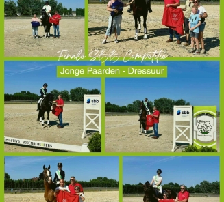 nationaal jonge dressuurpaarden