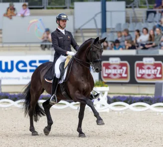 Domien Michiels & Intermezzo