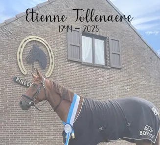 etienne tollenaere