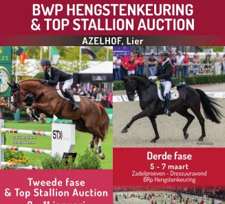hengstenkeuring 2026