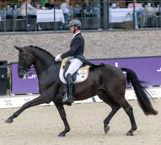 Domien Michiels & Intermezzo