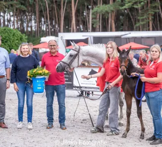 antwerps veulenkampioenschap Pulderbos