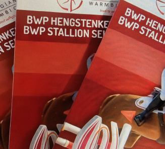 cataloog advertenties