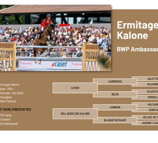 Hall of fame - ermitage.png