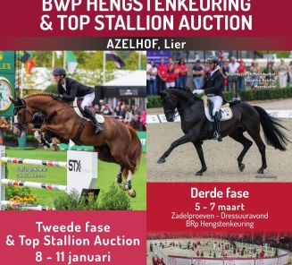 hengstenkeuring 2026