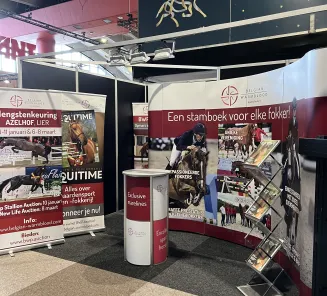 jumping mechelen stand