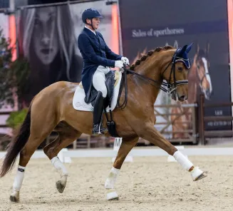 Tom Heylen en Quberon Van Het Beukenhof